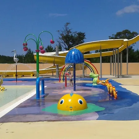 Mobil-home 5 pers climatisé - Plage et forêt - Camping Les Oyats Seignosse Seignosse