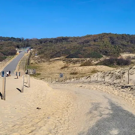 Campeggio Mobil-home 5 pers climatisé - Plage et forêt - Camping Les Oyats Seignosse Seignosse